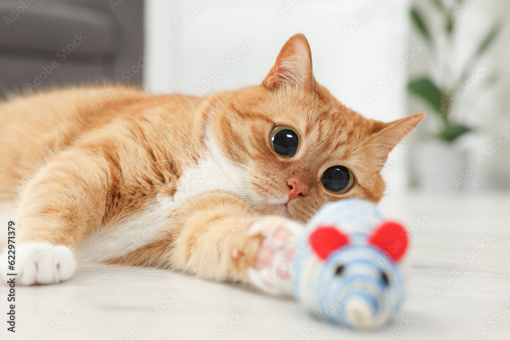 Funny pet. Cute cat with big eyes playing with toy mouse at home
