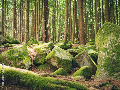 Menhirs. 