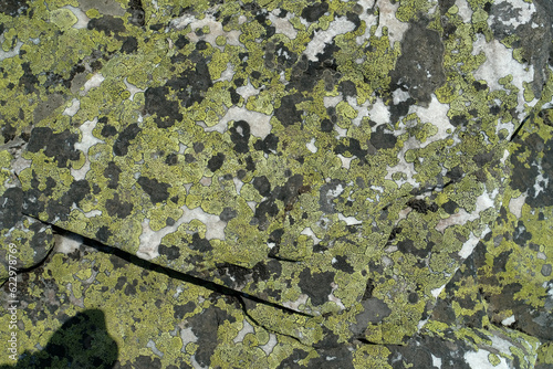 Background image. Green moss, gray stones.