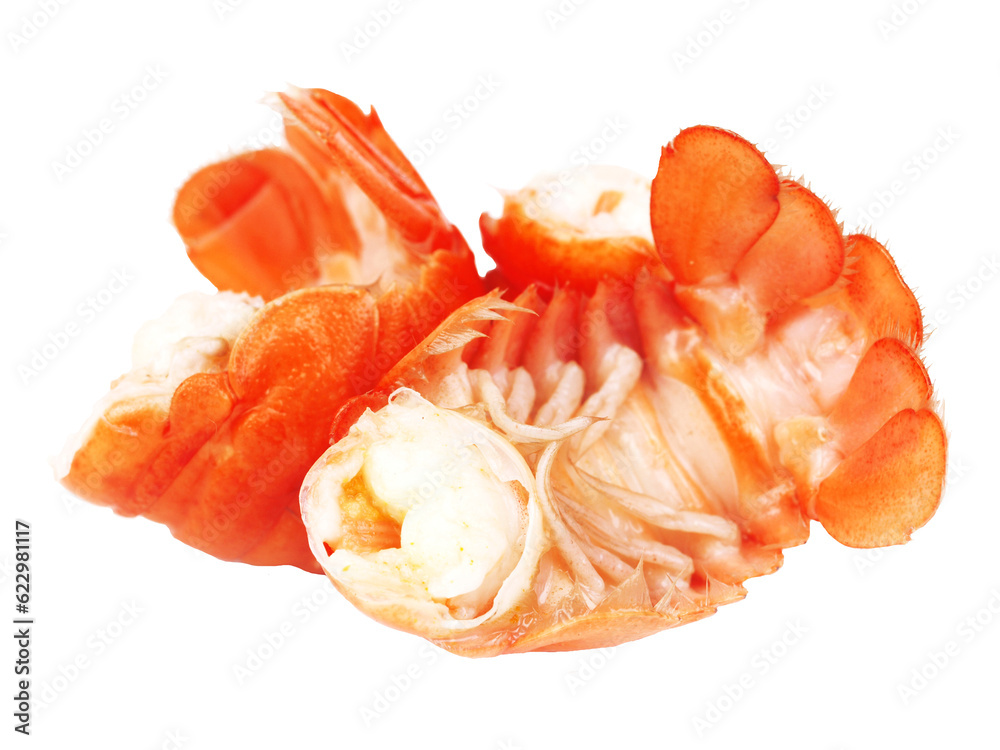 Bolied crayfis isolated on white background Bolied crayfis isolated on white background