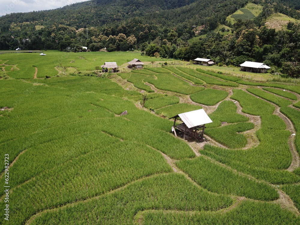 rice terraces  travel  in the north of Thailand