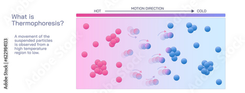 Thermophoresis also thermomigration, thermodiffusion, the Soret effect, or the Ludwig–Soret effect is a phenomenon observed different responses to the force of a temperature gradient vector.