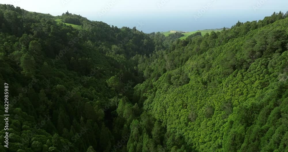 Aerial view forest on the island of Sao Miguel in the Azores