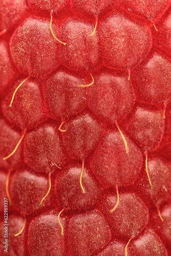 Czerwone tło, struktura owocu maliny z bliska 