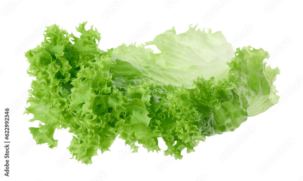 One green lettuce leaf isolated on white. Salad greens - obrazy, fototapety, plakaty 