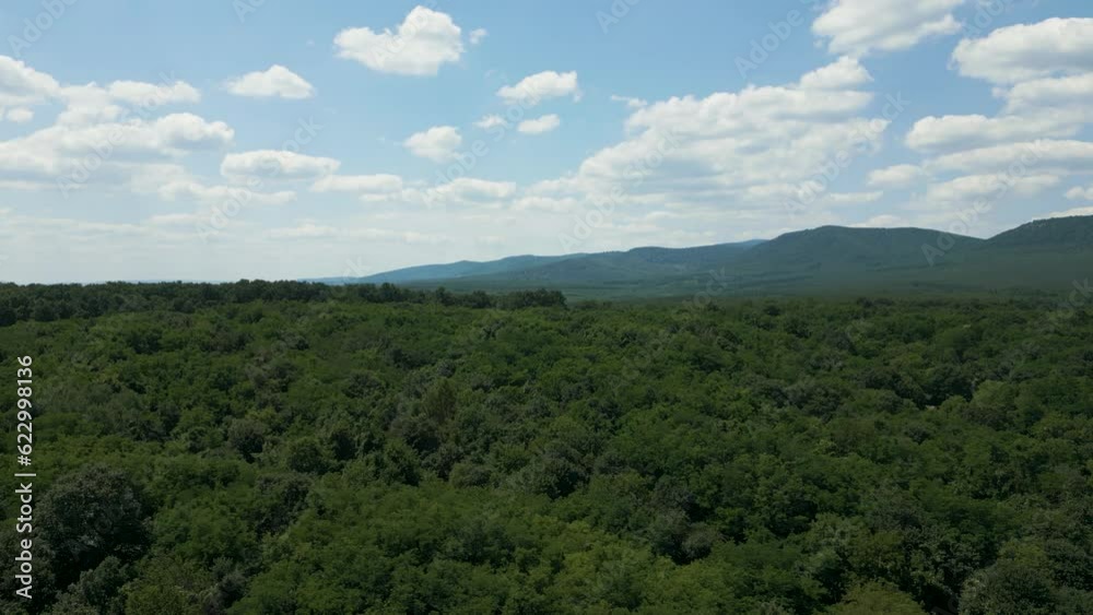 Aerial establishing shot of the Hills of Börzsöny, Hungary - Forest in the foreground Aerial establishing shot of the Hills of Börzsöny, Hungary - Forest in the foreground
