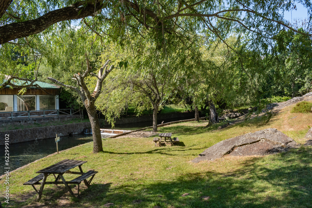 Lawn with wooden picnic tables in the shade of weeping willow on the shore of the river beach of Poço de Corga, Castanheira de Pêra PORTUGAL