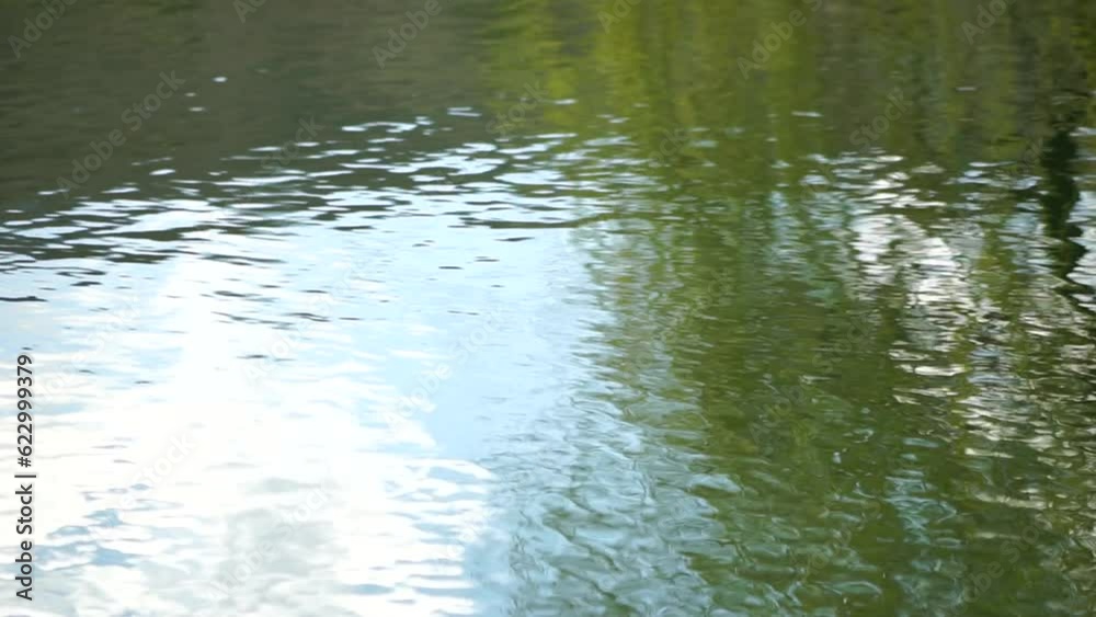 ripples on the water surface with reflection of branches of weeping willow tree and fresh green spring goslings shaking in wind, over blue lake water, creating a serene and tranquil scene. slow motion ripples on the water surface with reflection of branches of weeping willow tree and fresh green spring goslings shaking in wind, over blue lake water, creating a serene and tranquil scene. slow motion