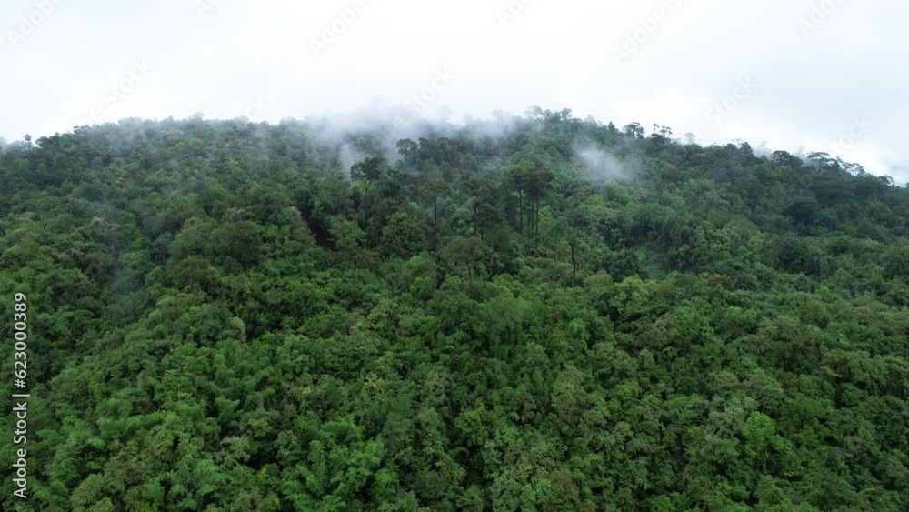 Aerial view of beautiful tropical rainforest full of large trees and covered with clouds in the rainy season of Thailand Aerial view of beautiful tropical rainforest full of large trees and covered with clouds in the rainy season of Thailand