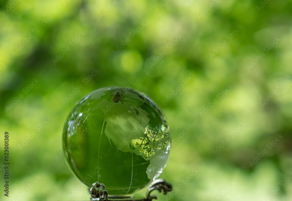 glass earth globe in forest