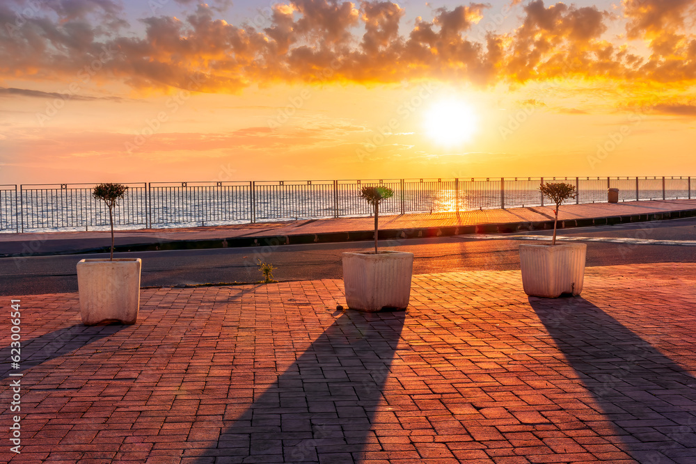 picturesque view of sunrise or sunset landscape on a sidewalk with pavement and sea promenade with three flower pots with small trees