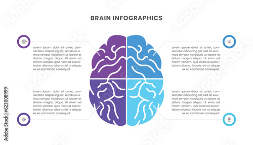 Infographic brain template design. Four options or steps.