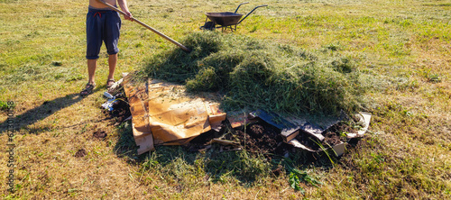 Preparation of a permaculture bed for growing hokkaido. photo