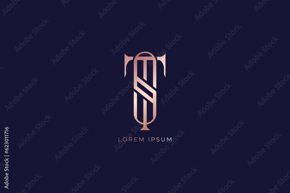 ts minimalist letter fashion brand design line style creative golden wordmark design typography illustration, st company logo, ts retro logo
