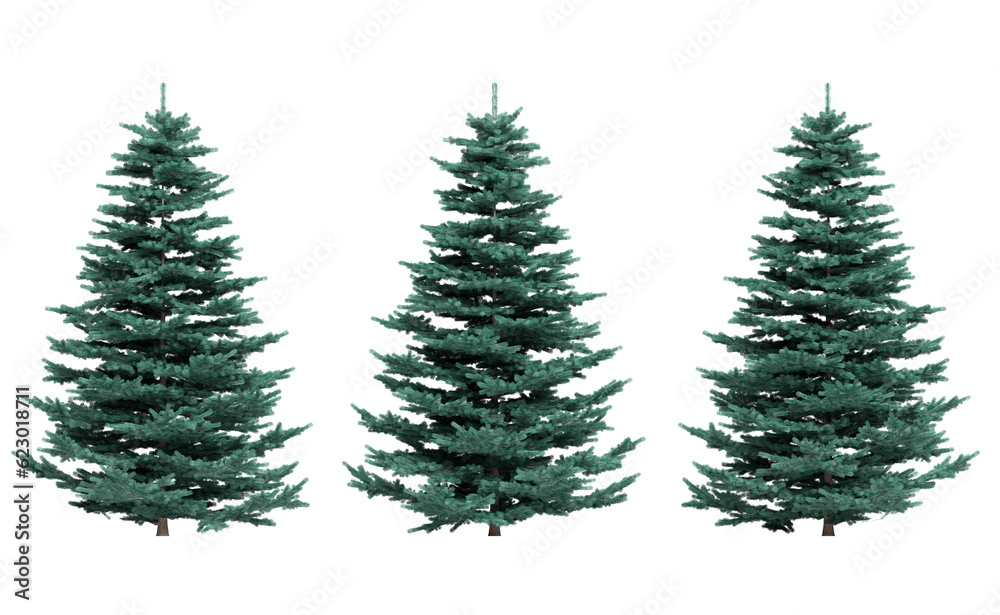 Spruce trees on a transparent background