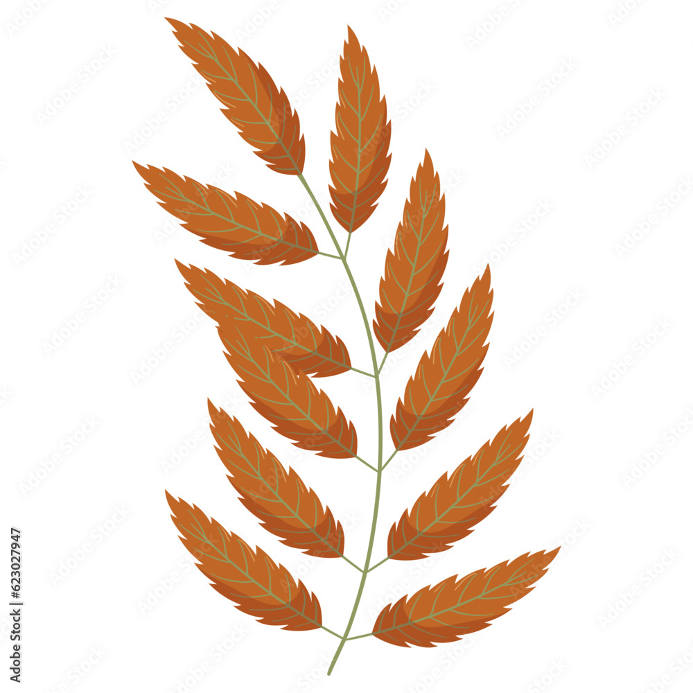 Fototapeta Autumn forest leaf branch illustration