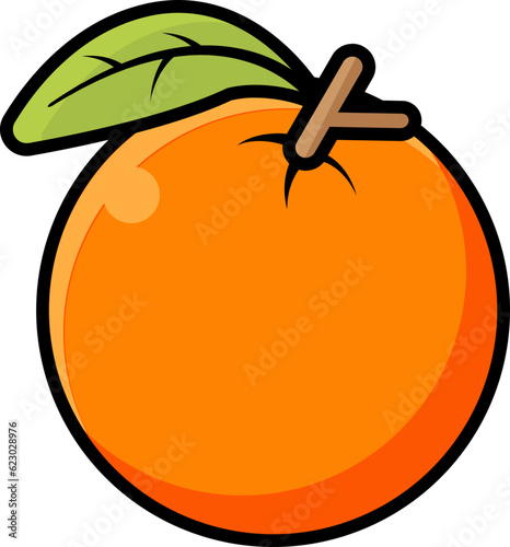 illustration of an orange fruit