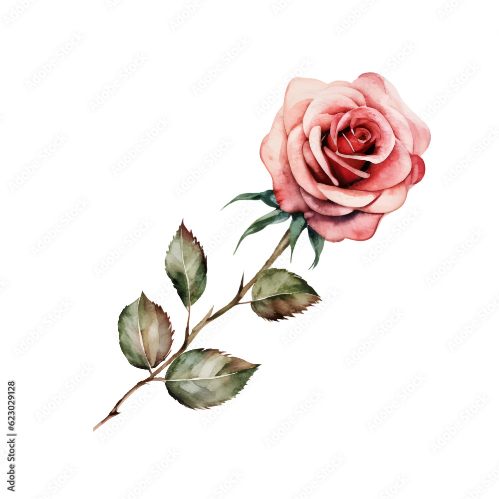 One flower pink rose, watercolor floral illustration isolated on white background. Cute composition for wedding or greeting card.
