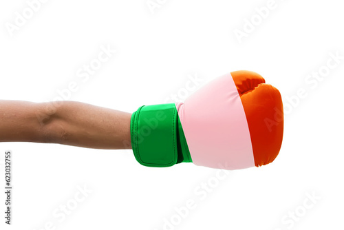 3D Flag of Ireland on a boxing gloves.