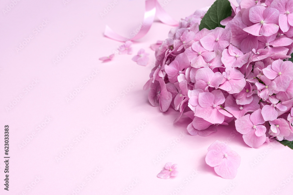 Beautiful flowers of pink hydrangea with green leaves on pink background side view with copy space. Flower card. Holiday, congratulations, happy mothers day. International Women's day.