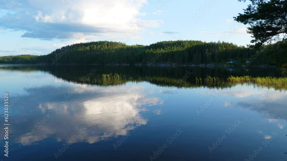 View of a secluded lake deep in the forest. View of a secluded lake deep in the forest.
