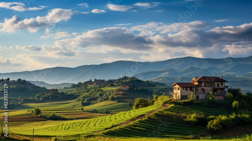 Panoramic view of Tuscany  Italy. Tuscany is famous for its wine production.