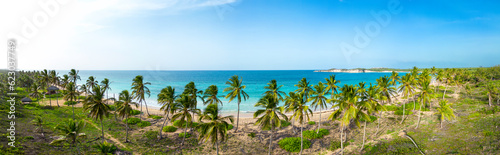 Aerial panorama of Macao beach with green coconut palm trees and turquoise color of the Caribbean sea. Best destinations for vacations in Dominican Republic  © Bankerok