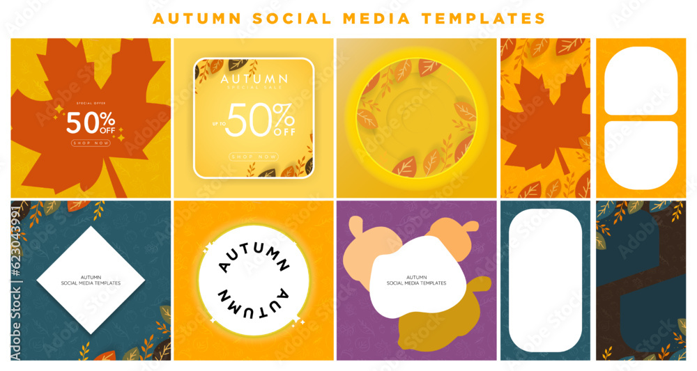 Set of Autumn Social Media Templates and layouts. Fall-themed concept. Card and story backgrounds. Foliage, hand-drawn pattern background. Maple leaf and acorn border. Editable Vector Art. EPS 10.