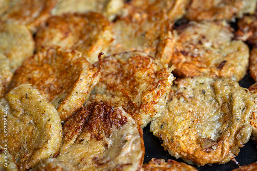 Texture and structure of potato pancake.