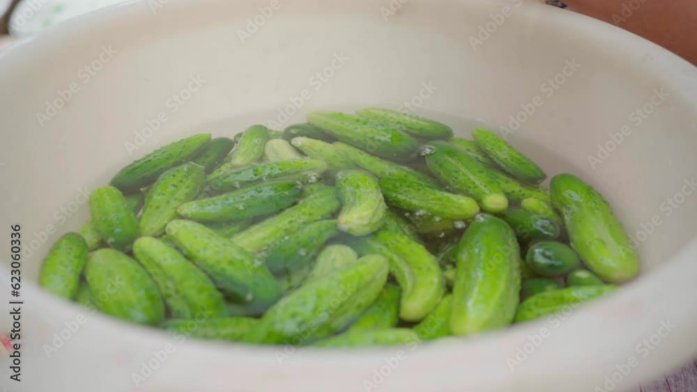 pickling cucumbers. the process of placing cucumbers in jars. woman canning cucumbers in glass jars at home for the winter. canned vegetables. eco product. pickling cucumbers. the process of placing cucumbers in jars. woman canning cucumbers in glass jars at home for the winter. canned vegetables. eco product.
