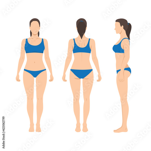 This woman body has the center of gravity above. The waist and bust are high. The joints and below the knees are thin. She is wearing underwear. Front, Side, Rear. Flat vector illustration isolated