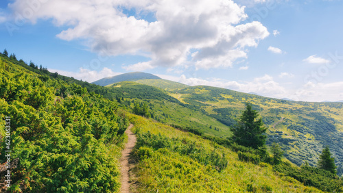 trail through the hills and meadows. alpine scenery of ukrainian carpathians. popular travel destination to the petros mountain in summer