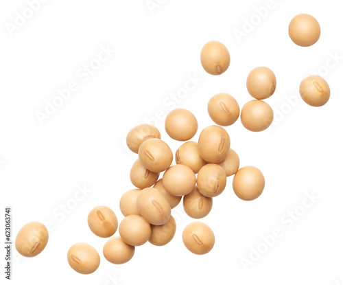 Soybeans splash isolated