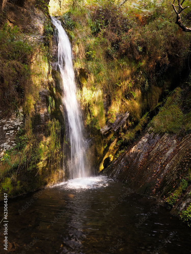 Obraz premium A waterfall falling on a river in a forest in yellow and green tones.