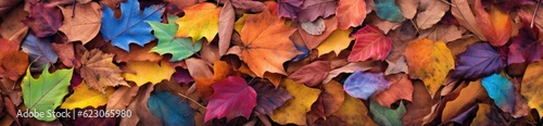 Beautiful autumn background of a colorful array of fallen leaves. Generative AI © Gelpi