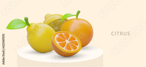 Realistic whole and cut citrus fruits. Vector template in cartoon style. Aromatherapy. Natural food rich in vitamin C. Juicy delicious summer fruits. Lemon and orange
