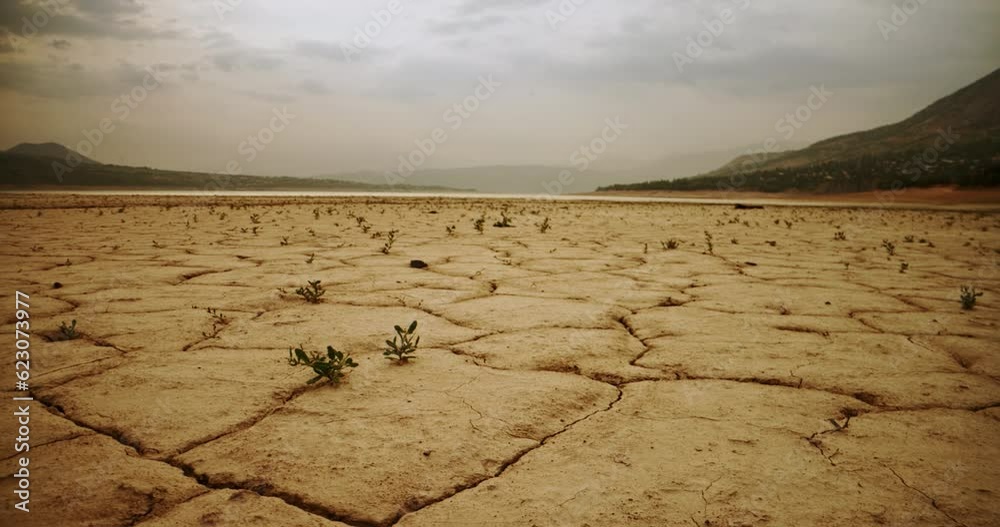 Terrible, frightening view of cracked yellow dry ground. Ecological crisis, disaster, global warming. Ecological reality of earth. Destruction of nature leads to desertification of soil and drought.
