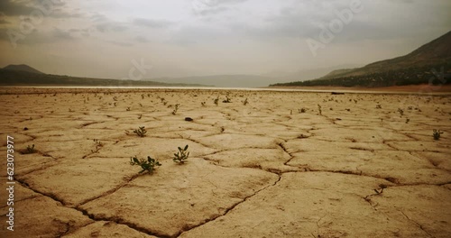 Terrible, frightening view of cracked yellow dry ground. Ecological crisis, disaster, global warming. Ecological reality of earth. Destruction of nature leads to desertification of soil and drought.
