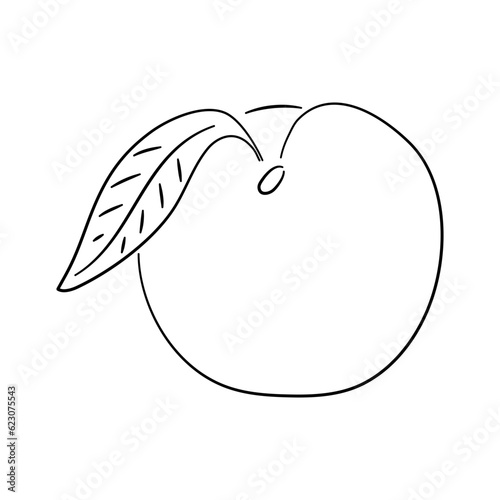Photos Peach doodle icon. Hand drawn black sketch. Vector Illustration.