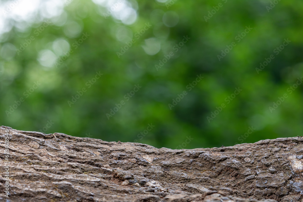 Product display concept of natural, moss trunk at blur green meadow with trees in park, bokeh background in summer
Product display concept of natural, moss trunk at blur green meadow with trees in park, bokeh background in summer