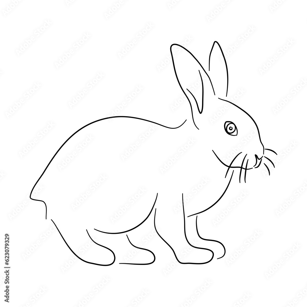 Sketch drawing of a Rabbit isolated on a white background. Vector illustration. Sketch drawing of a Rabbit isolated on a white background. Vector illustration.