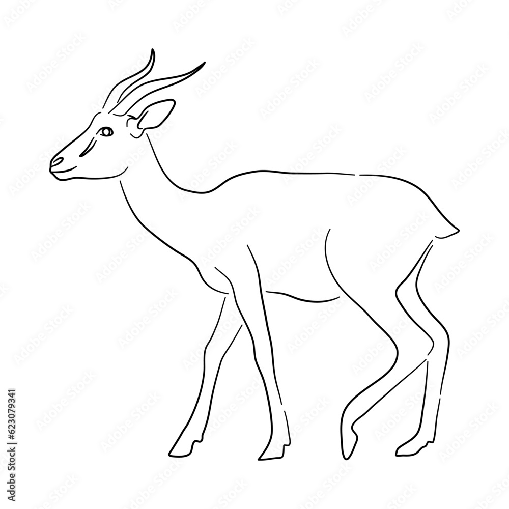 Sketch drawing of a Antelope isolated on a white background. Vector illustration.