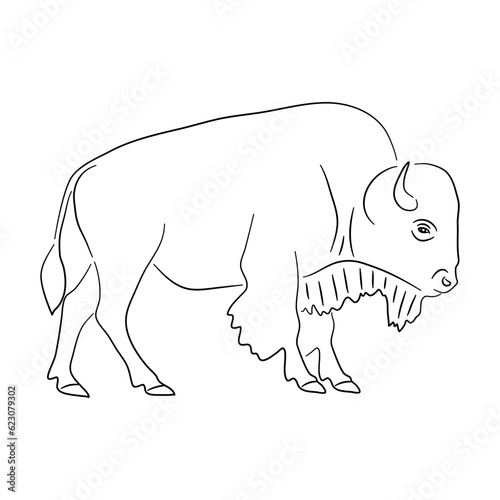 Fototapeta Naklejka Na Ścianę i Meble -  Sketch drawing of a Bison isolated on a white background. Vector illustration.