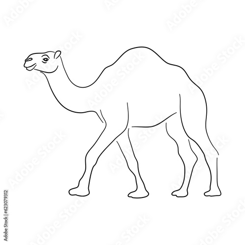 Fotografie Camel illustration in doodle style