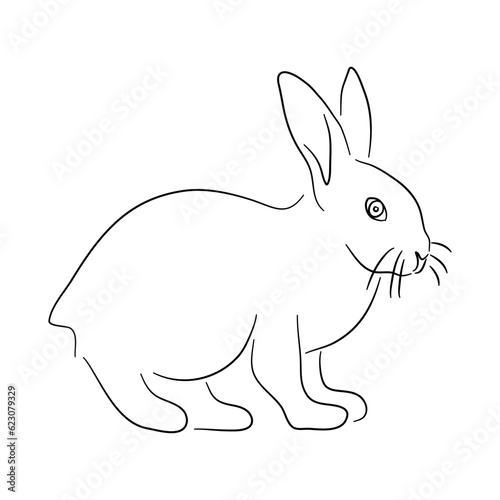 Sketch drawing of a Rabbit isolated on a white background. Vector illustration. © New Vectors