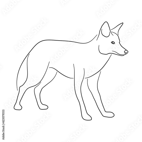 Jackal illustration in doodle style. Vector isolated on a white background.