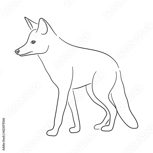 Sketch drawing of a Jackal isolated on a white background. Vector illustration.