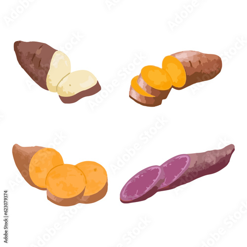 Set of sweet potatoes. Hand drawn watercolor vector illustration
