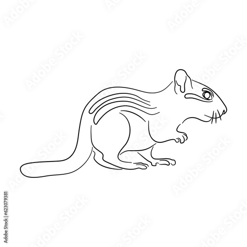 Chipmunk illustration in doodle style. Vector isolated on a white background.