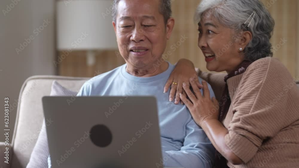 Elderly couple sitting on sofa using laptop for surfing an internet.